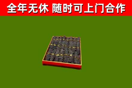海州回收海参